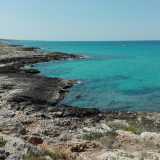 Siamo alla fine di Freak beach, poco prima di arrivare alla pi� normale e familiare �Cala Fetente�. Volgiamo lo sguardo indietro: c�� silenzio, il mare � calmo e la voglia di toglierci i vestiti � tanta�